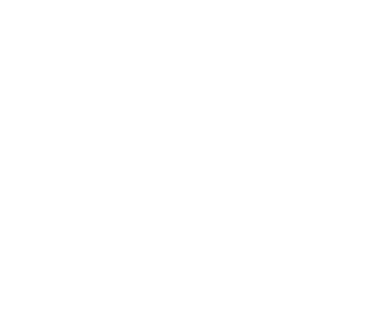 Zi_logo